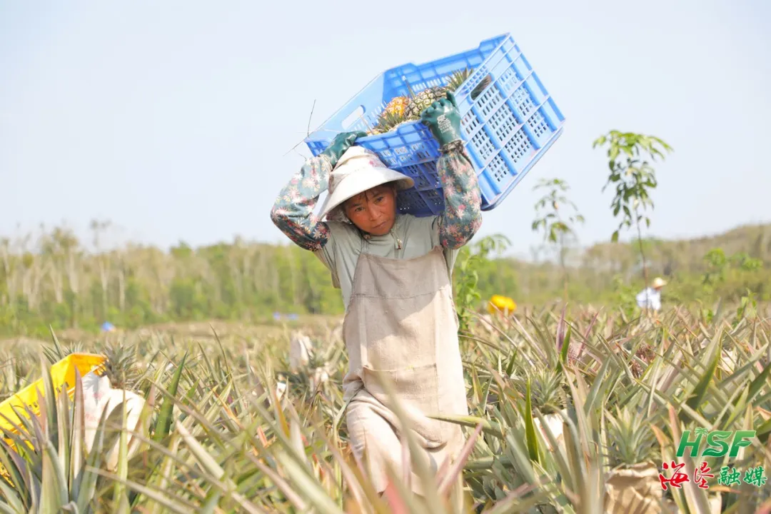 1775270605207000223.jpg 1775270605207000223.jpg