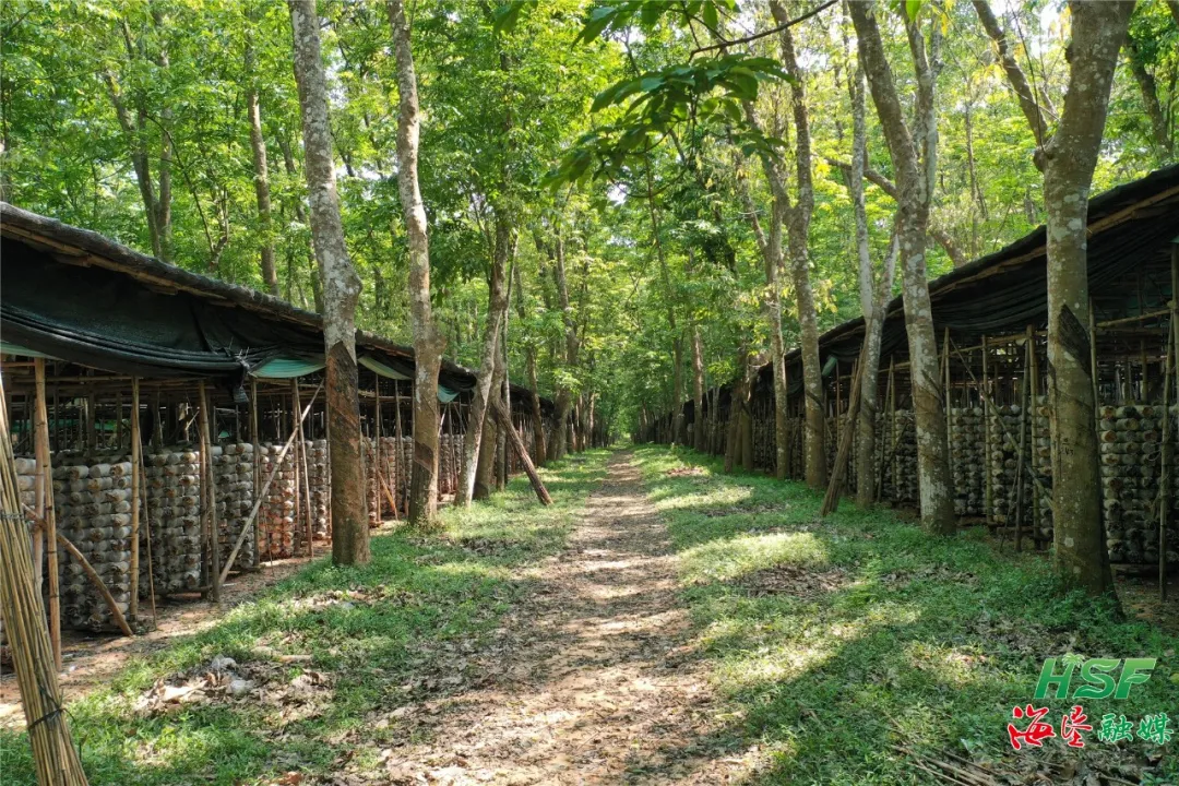 1775270631238049862.jpg 1775270631238049862.jpg