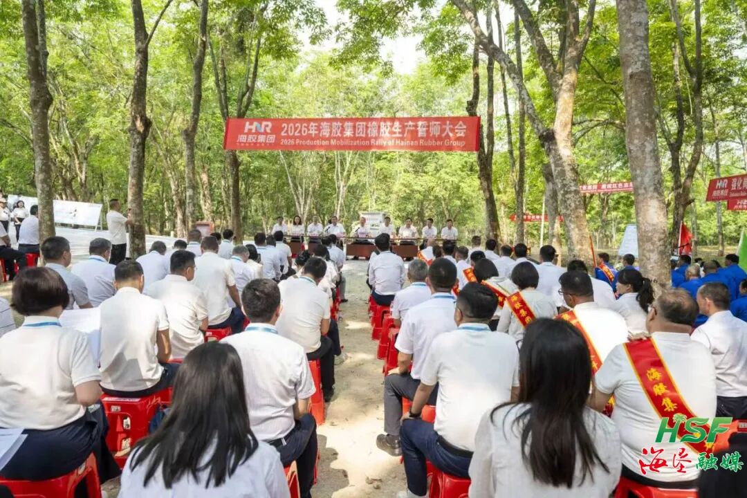 1775400014985054027.jpg 1775400014985054027.jpg