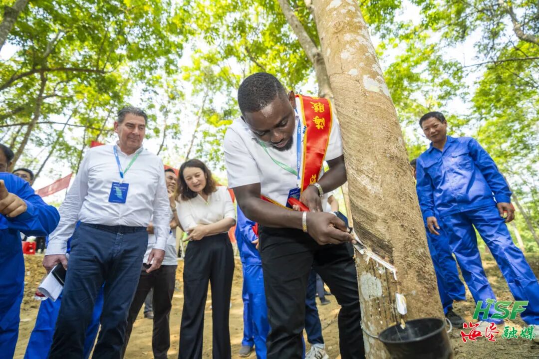 1775400026982001714.jpg 1775400026982001714.jpg