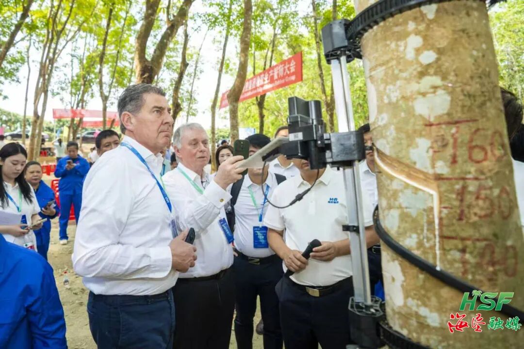 1775400034079094496.jpg 1775400034079094496.jpg