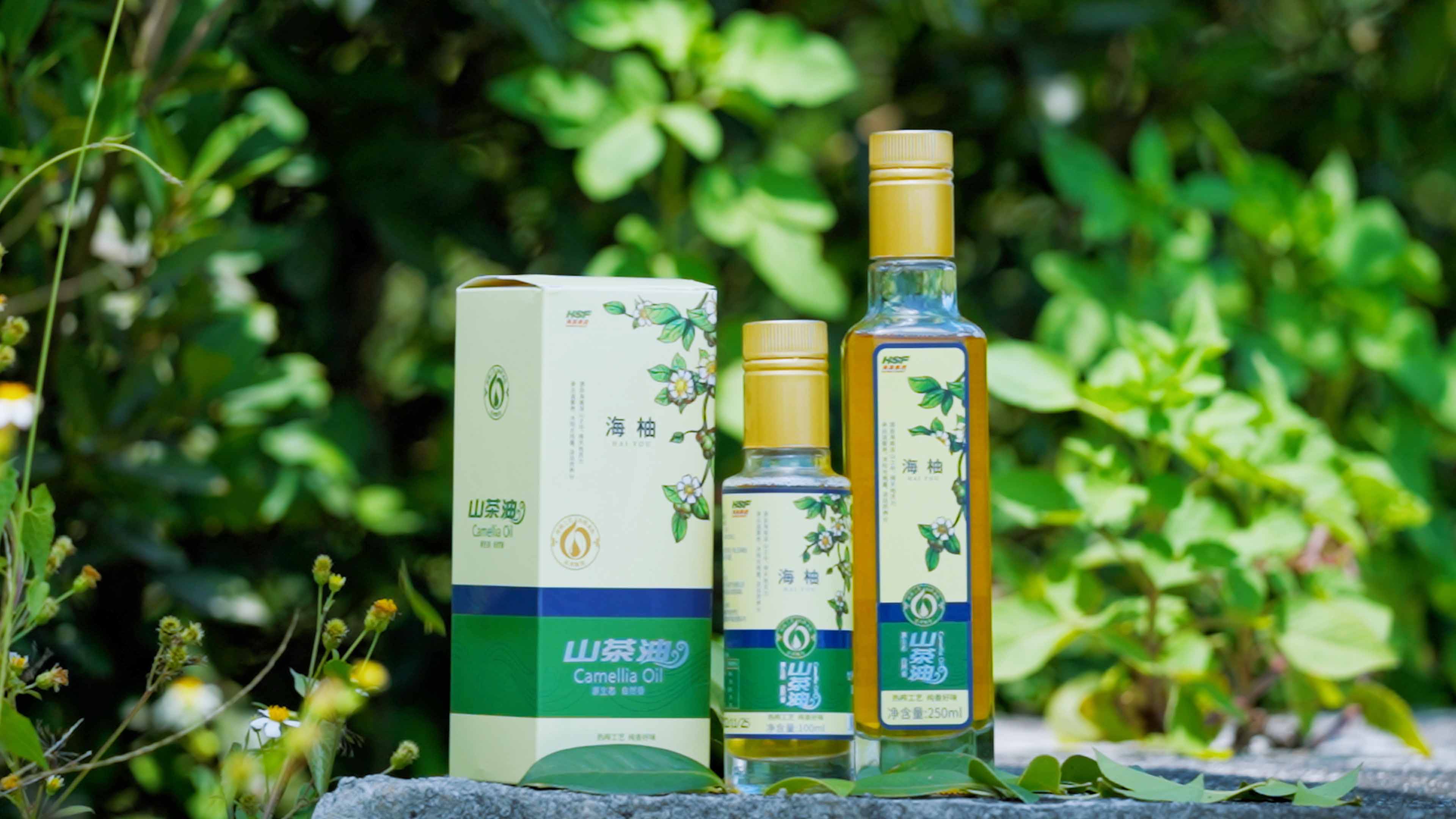365英国上市官网乐香山茶油